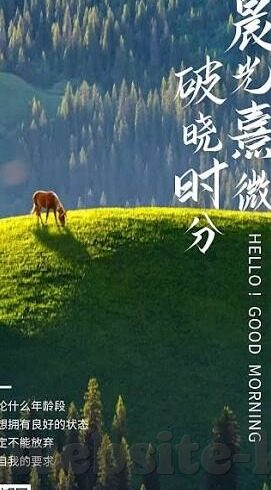 2018世界杯足球照片-2018世界杯足球照片，定格永恒瞬间，铭记荣耀时刻